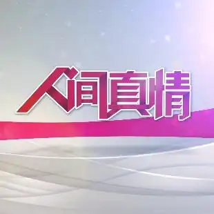 人间真情第贰季