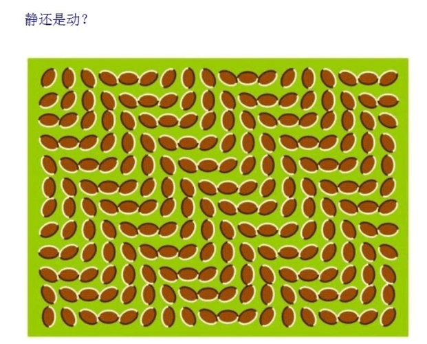 神奇的图片 心理测试