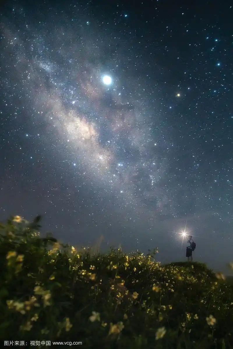 站在花海之中仰望星空的人