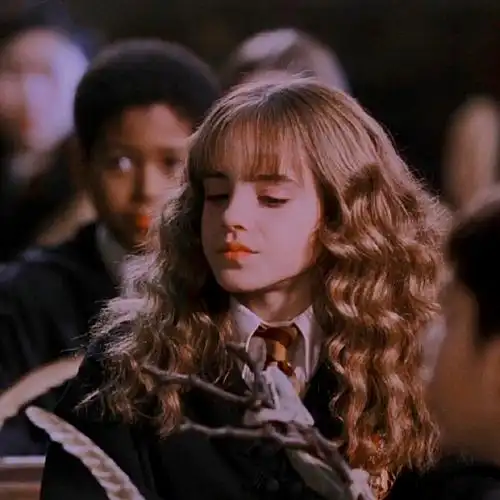 想学习不想太明显用的赫敏头像