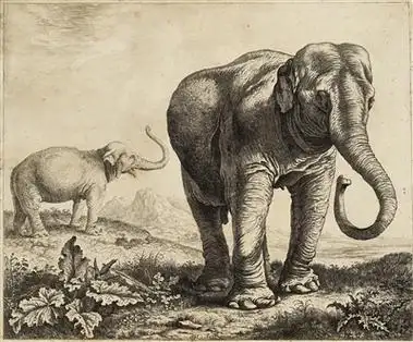 野兽出没 动物版画中的博物学(组图)