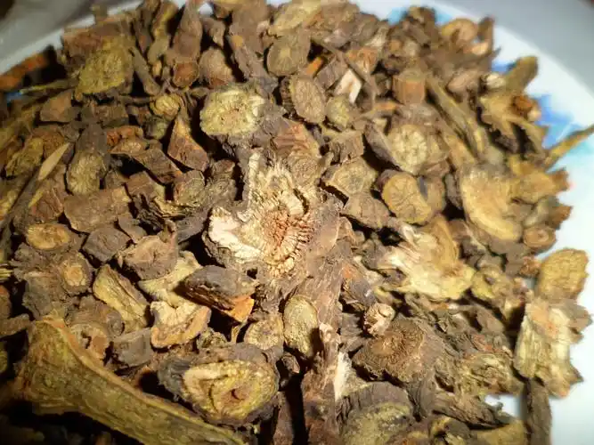 黄芩-青岛东蟾进出口有限公司