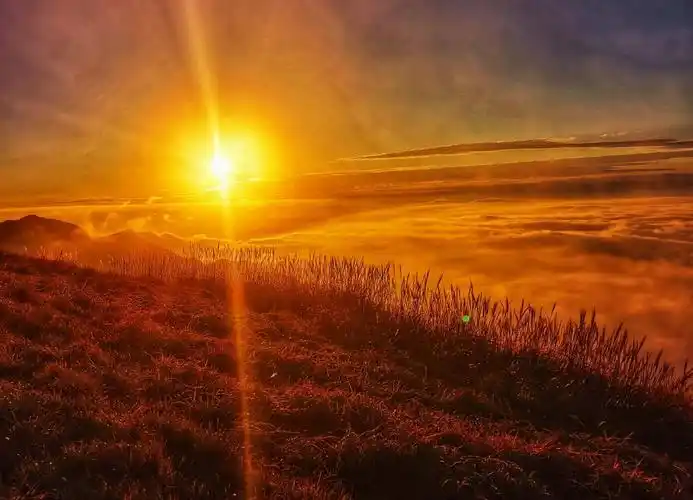 清晨的曙光,高清图片 - 壁纸更好