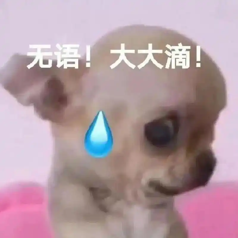 无语表情包大放送