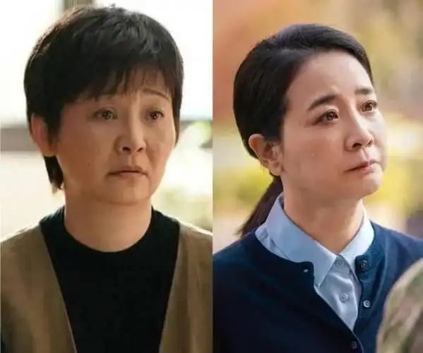 《承欢记》里何赛飞演的刘彩玉女士,咋咋呼呼地想把女儿嫁进看不起