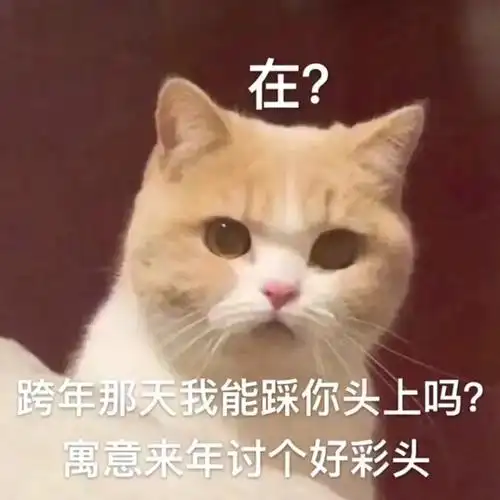 寓意来年讨个好彩头_我能_好彩头_来年_跨年_讨个表情