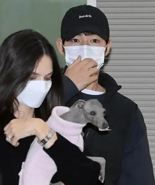 不过话又说回来,到现在为止还有很多人希望宋慧乔和宋仲基能够复合