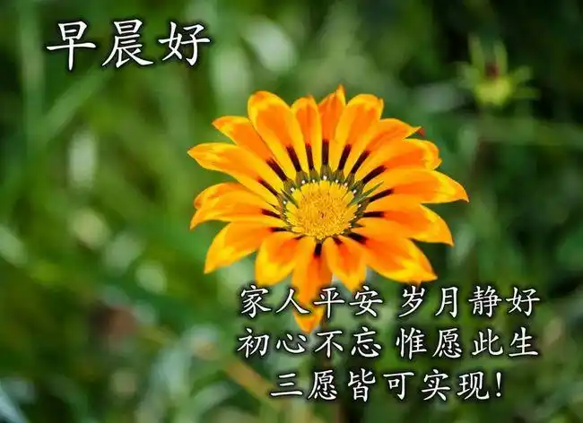 原创2021年4月26日星期一清晨早上好祝福动态表情图片周一最新早安