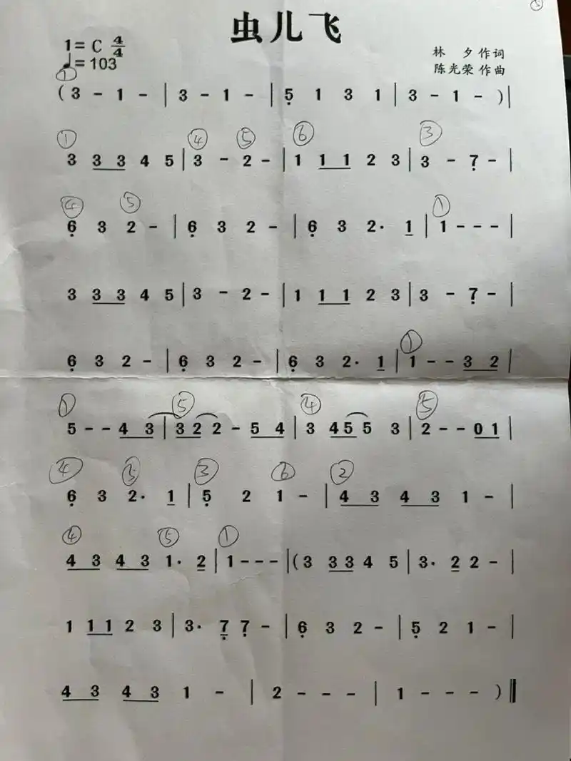 分享两首简单的c调曲子 和弦已写好,按图三弹伴奏就好啦虫儿飞简谱