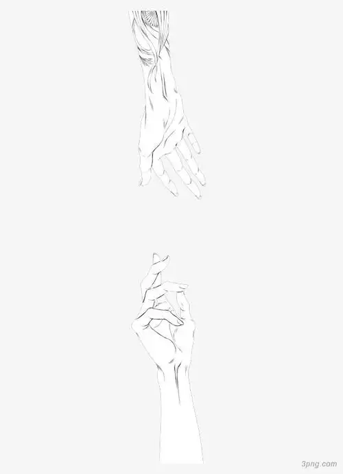 两只手png素材透明免抠图片-卡通手绘
