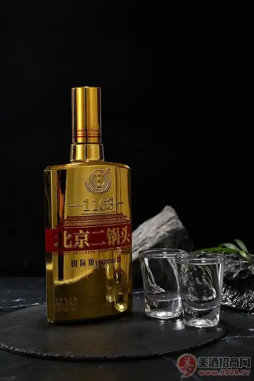 北京二锅头国际版大师酿(金)45.8度500mlx9