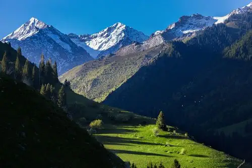 清晨的雪山草原