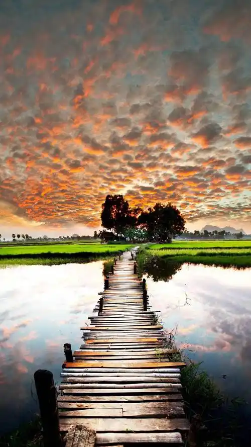 竖屏手机壁纸绝美的风景一定能配上你的手机