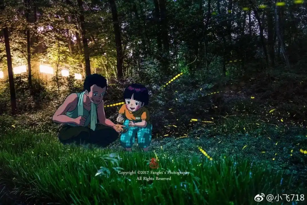 南京灵谷寺萤火虫路亮了!犹如银河坠落,惊艳你的仲夏夜!