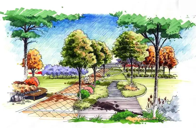 景观手绘设计效果图