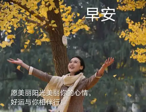 《早安朋友们》集锦人物篇