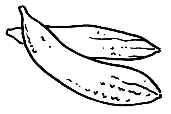 黄瓜简笔画图片步骤教程