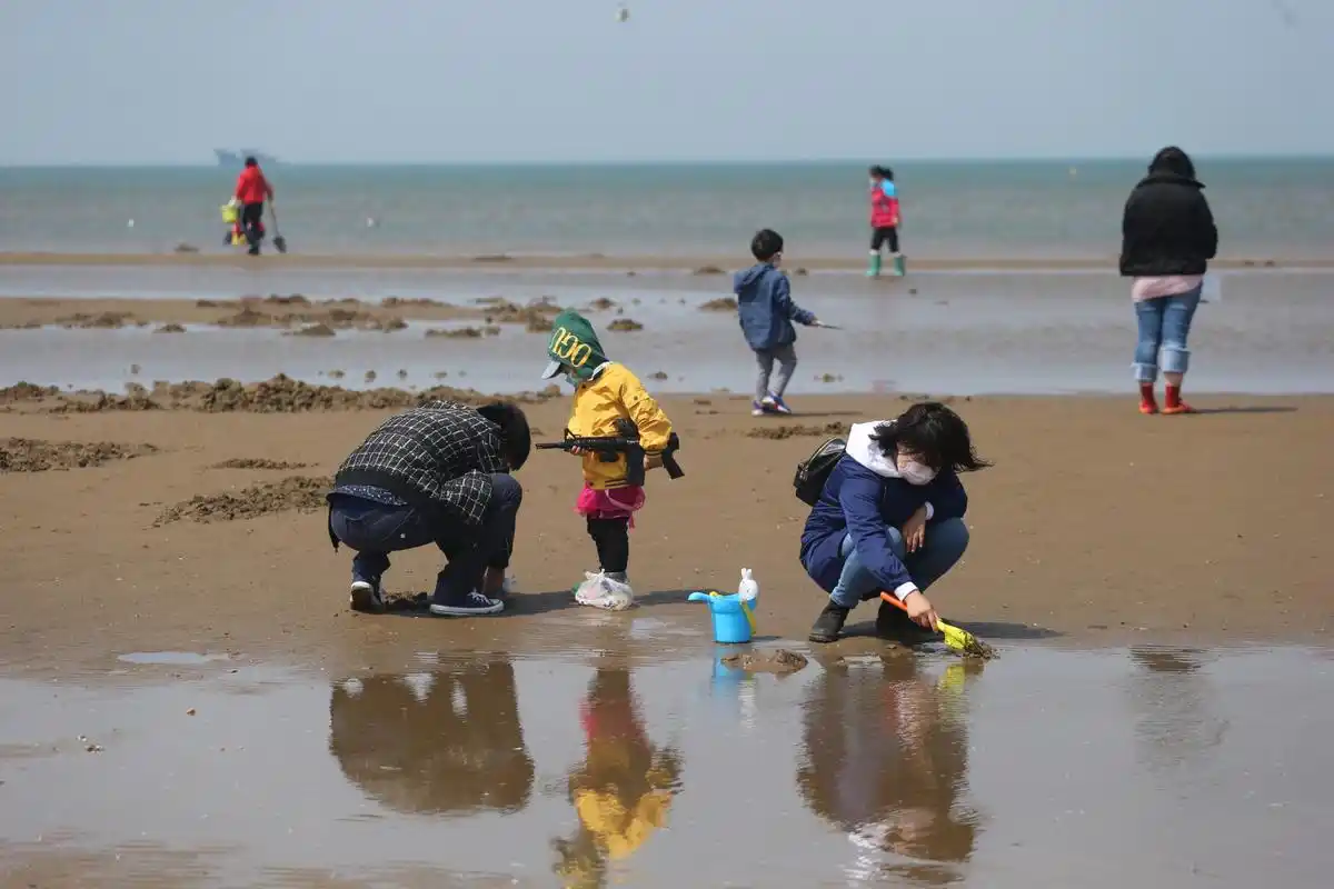 赶海,大连人舍不掉的情结
