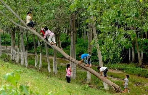 廊坊农村孩子,童年玩过的游戏你玩过几个!_小时候