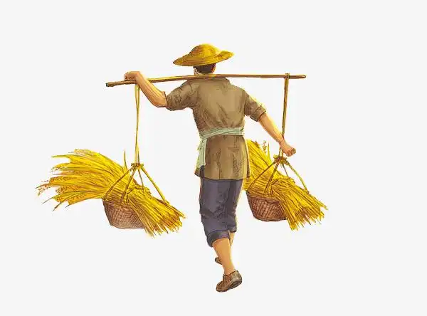 晨读挑起梦想的扁担