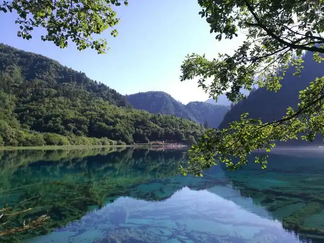 在8月1日游览了中国最美丽的九寨沟,摄了一些地震前九寨沟的风景照片