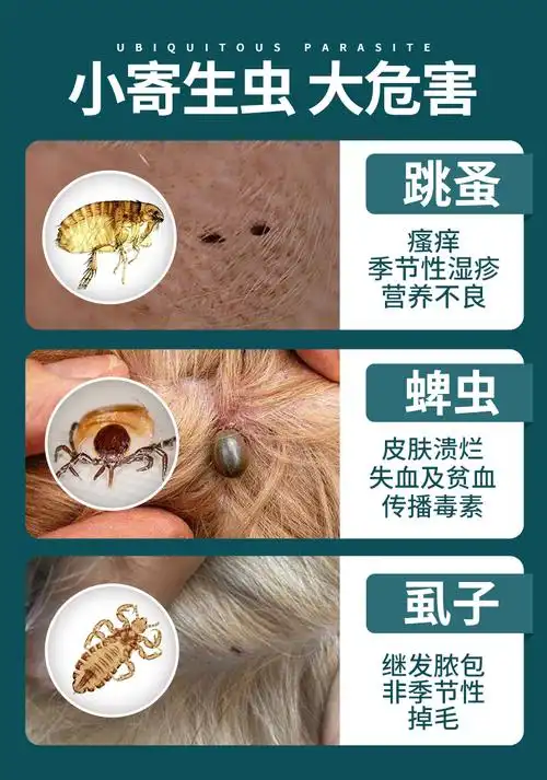 雷米高3支虱子跳蚤蜱虫狗狗宠物泰迪金毛滴剂皮肤喷剂