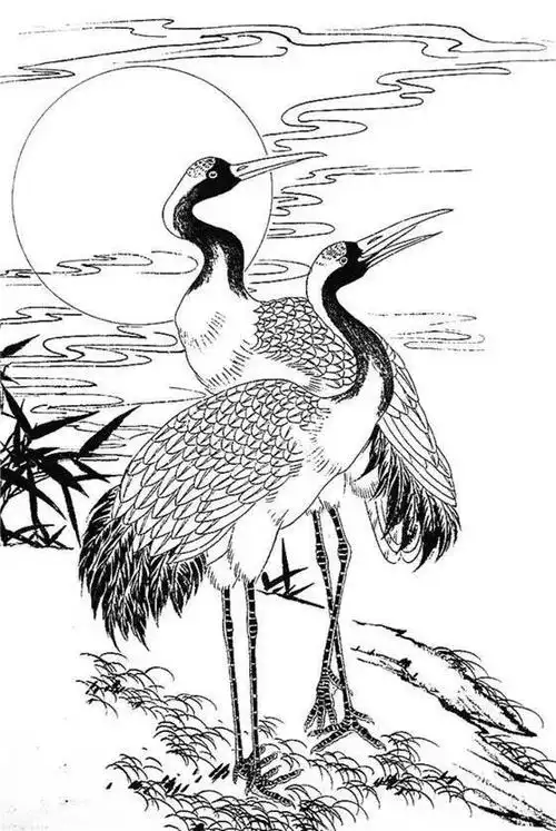 一组白描仙鹤,惟妙惟肖︱艺术名画