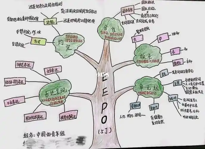 mseepo五项基础树状思维导图小组作业