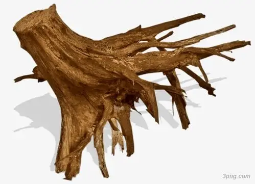 一个树根png素材透明免抠图片动植人物