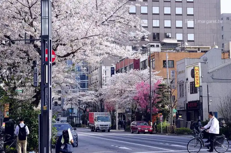 日本桥.人形町|路过樱花盛开的日常