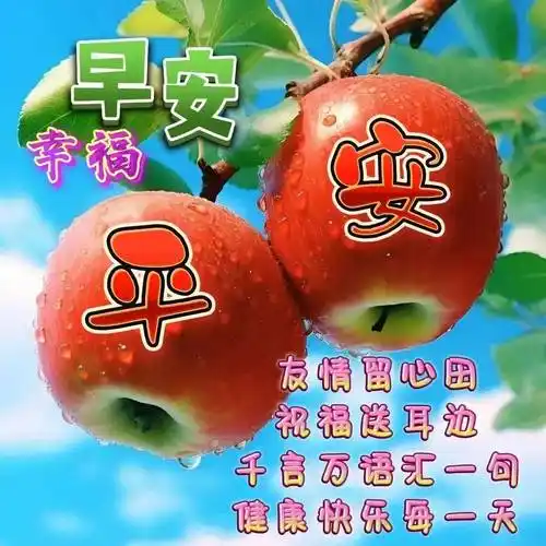 清晨太阳升起,明亮你的心境;传达一声问候,温暖你的心境!