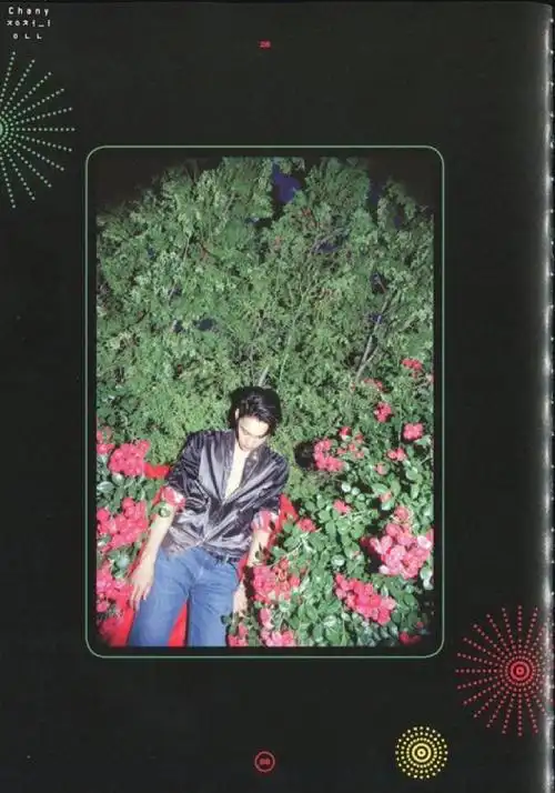 exo kokobop 金钟仁kai