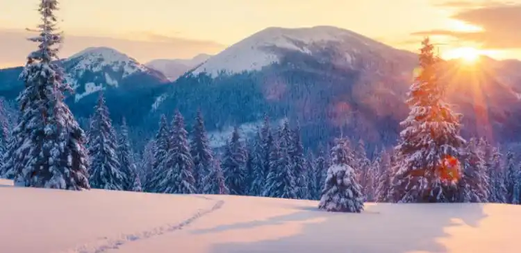 描写冬天景色的优美句子