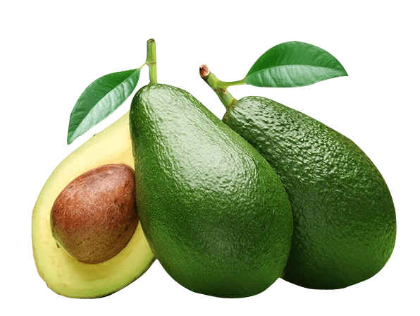 水果系列牛油果png图片