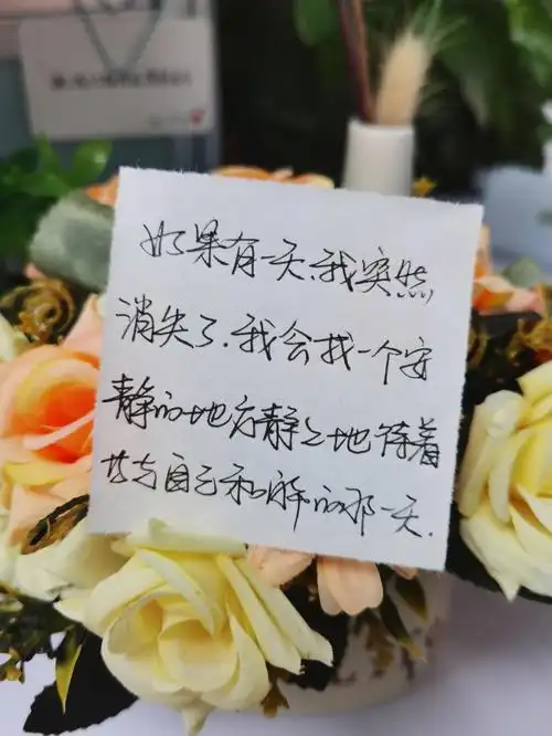 如果有一天,我突然消失了.