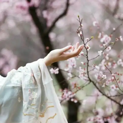 古风女子纤纤玉手头像宁静清幽女生头像