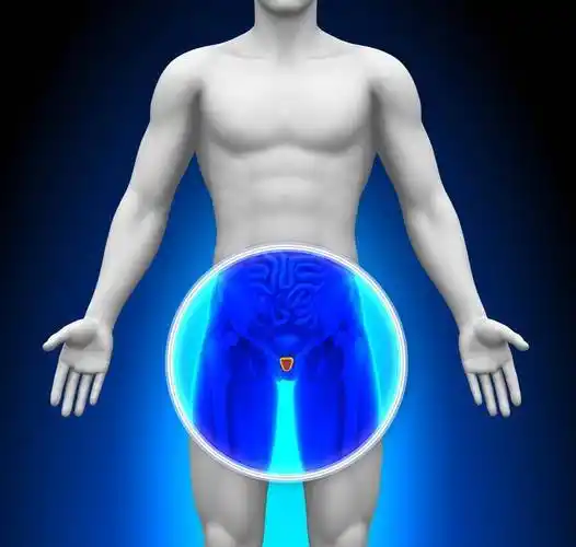 如果患上睾丸病,身体可能会有3个提醒,男人须得引起重视_检查_男性