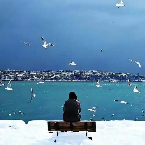 却说这是诚实每一个开始,都只是续篇我自风情万种,与世无争愿你