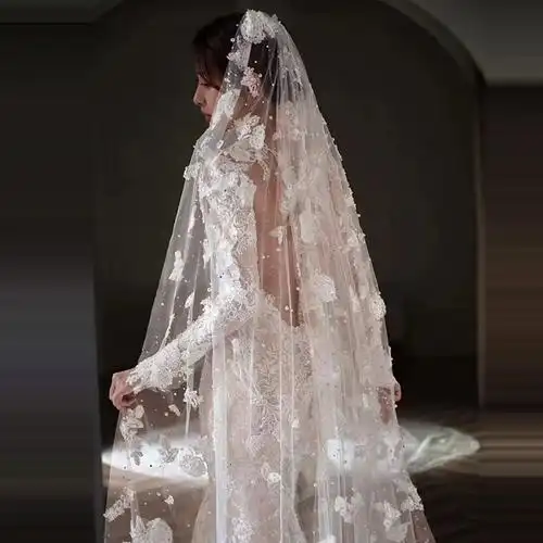 头纱新娘主婚纱头饰重工超长大拖尾软纱复古鱼尾结婚礼法式女