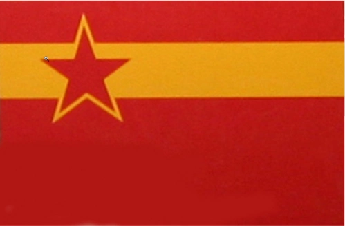 如何评价中国国旗的设计?