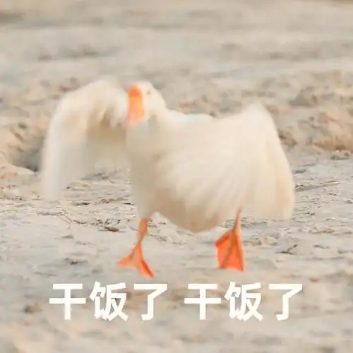 好丑 哈哈#鹅鹅鹅  #表情包