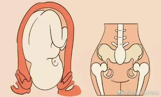 女人生没生孩子,这3个部位一眼就能看出!宝妈表示很扎心