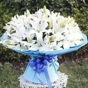 【99朵百合花束图片】99朵百合花束图片大全_q友网