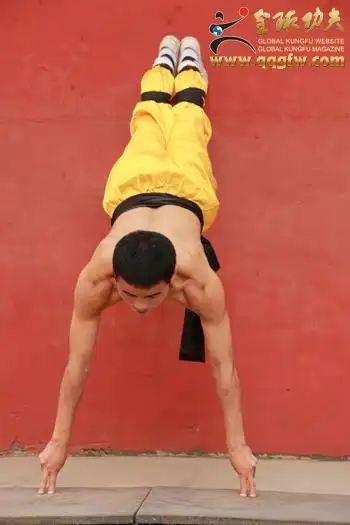 少林二指禅 - 全球功夫网 -全球最大功夫门户网站