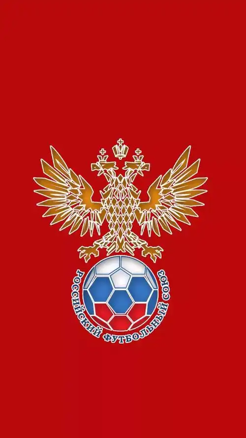 世界杯俄罗斯队队徽(高清壁纸,俄罗斯世界杯32支足球队队徽)
