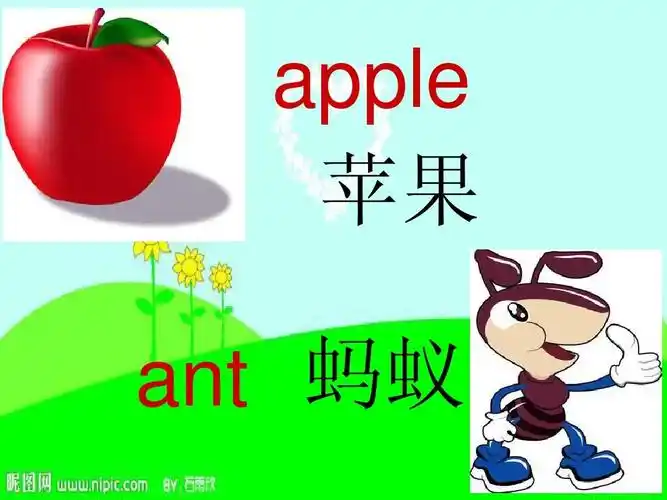 apple 苹果 ant 蚂蚁