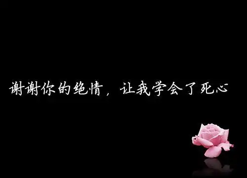 谢谢你的绝情让我学会了死心