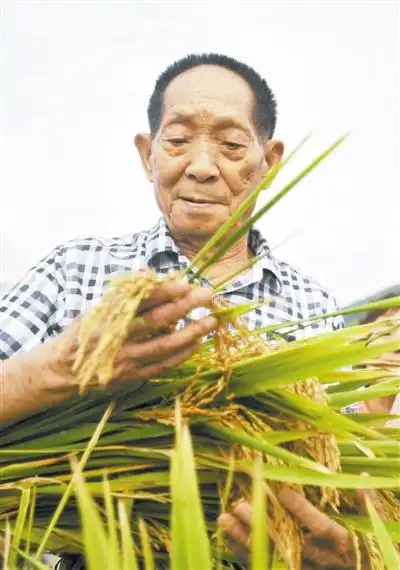 袁隆平:中国不会出现"粮荒" 完全能够自给自足