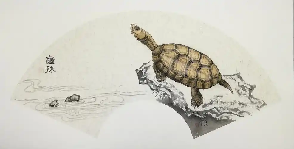 龟|纯艺术|国画|不秋草堂 - 原创作品 - 站酷 (zcool)