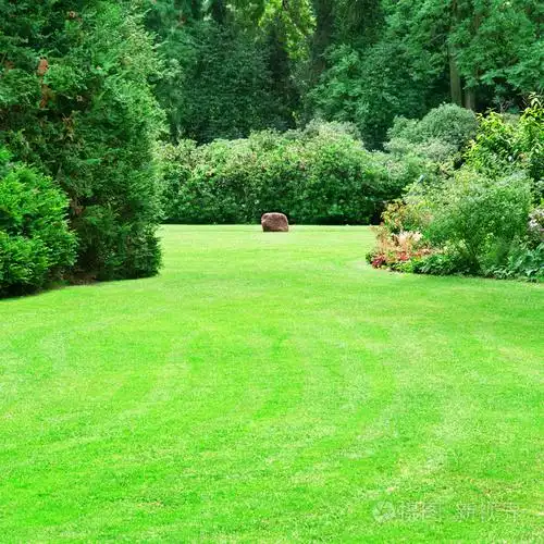 美丽的夏天花园与大型的绿色草坪